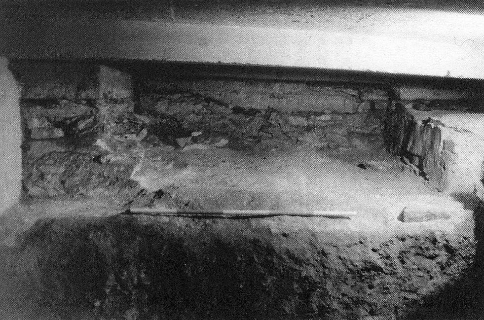 Pohled do severní části interiéru jižní apsidy. Vpravo vnitřní nároží vnitřního prstence zdiva na západní straně pokryté mladší maltou (fáze 4B). Vlevo blok zdiva, nahoře zakončený pískovcovým kvádrem – základ gotického oltáře u hrobu sv. Václava. V základu zbytek zdiva lodi rotundy (etapa 1). Vzadu základ pro náhrobek sv. Václava, před ním maltová podlaha v interieru apsidy. Hrana v popředí je jižní stěna hrobové jámy hrobu K1. Pohled od severu. Převzato z Castrum Pragense 3 (2000). Na této fotografii je patrné, že domnělý zbytek zdiva lodi v nejspodnější části základu gotického oltáře je ve stejné úrovni jako maltová podlaha začínající za položenou trasírkou. 4_48-1