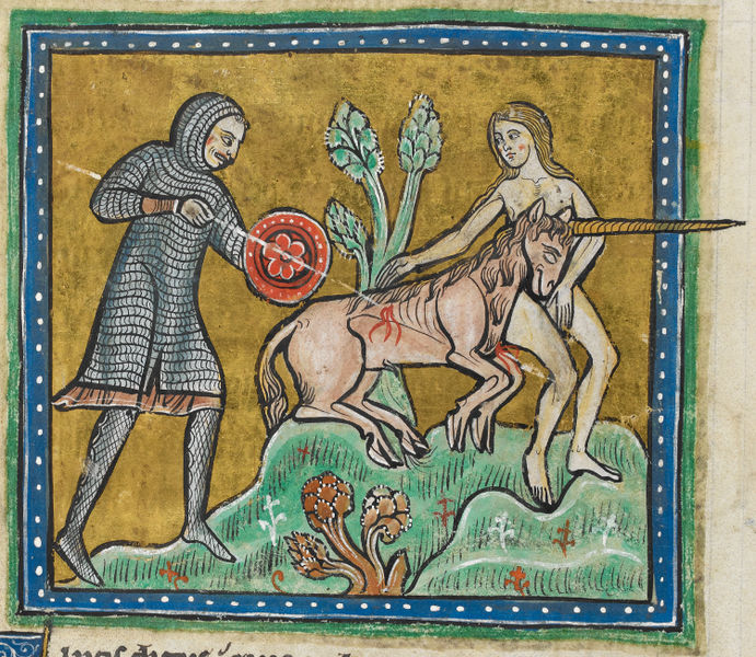 Jednorožec v Rochester Bestiary, kolem 1230 n. l. Vyobrazení převzato z http://commons.wikimedia.org. Heroj zimní poloviny roku v brnění sice v tomto případě přichází ze špatné strany, ale naopak novolunní Dívka je správně nahá. 691px-Unicorn_hunt_-_British_Library_Royal_12_F_xiii_f10v_detail